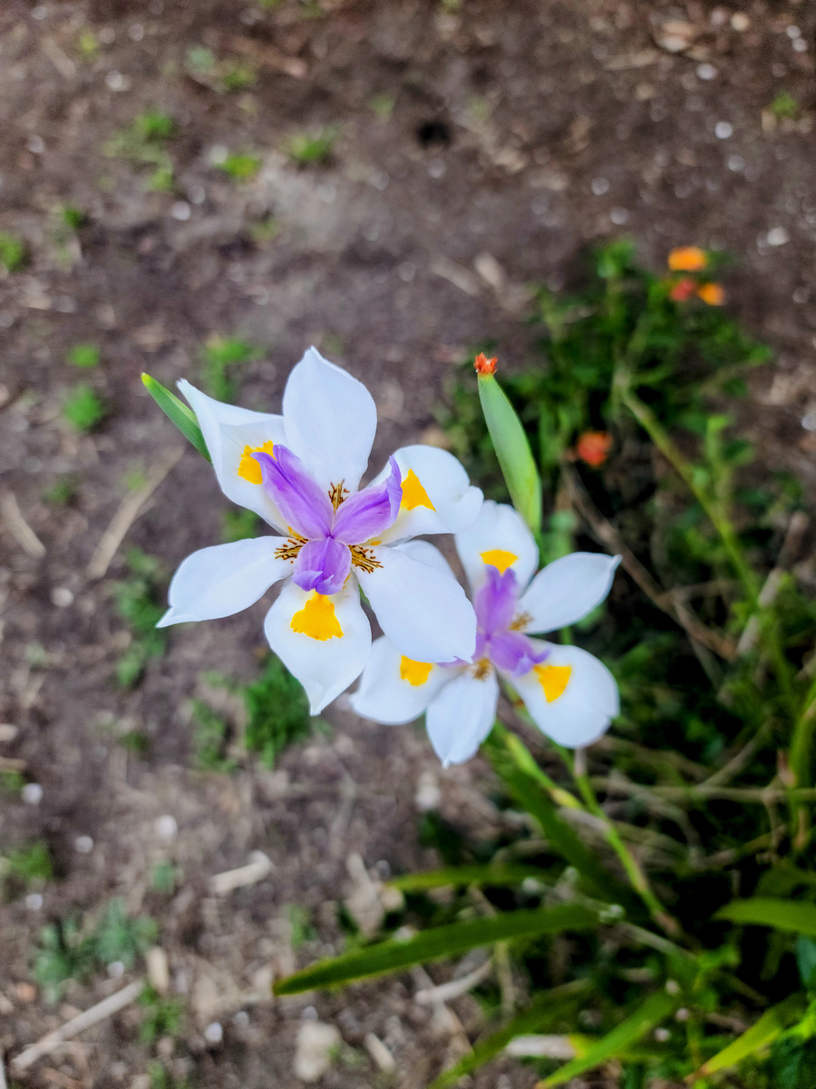 Impression de cadre personnalisé