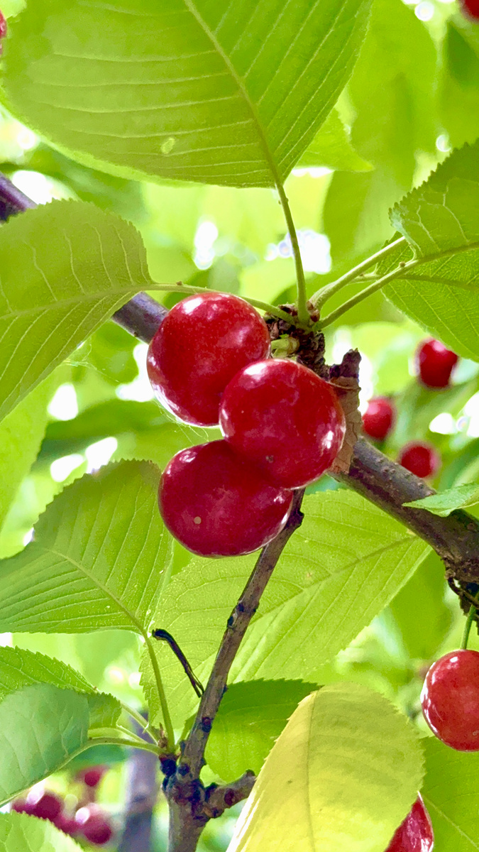 Impression de cadre personnalisé