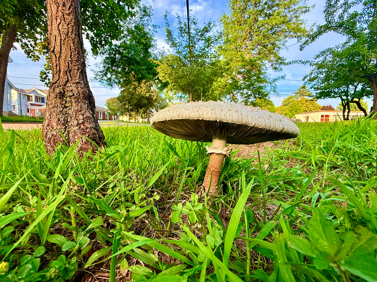 Impression de cadre personnalisé