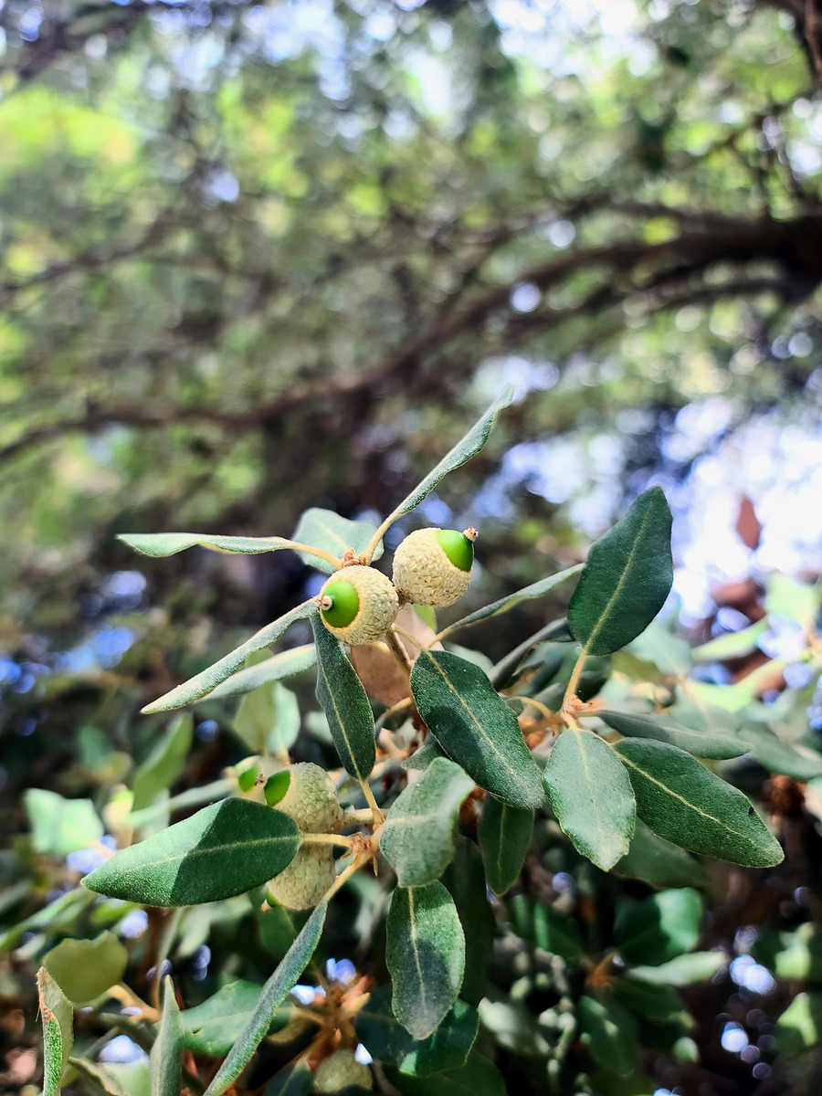 Impression de cadre personnalisé