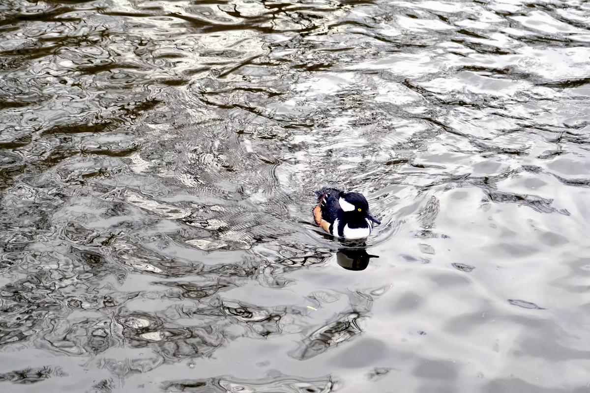 Impression de cadre personnalisé