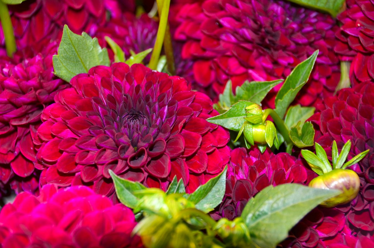 Impression de cadre personnalisé