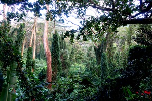 Welcome to Jurassic Park