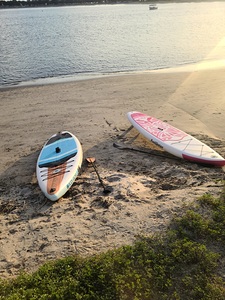 The Last Drift Before Dusk