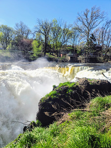 Where the Earth Breathes in Light and Water