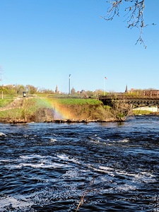 Rainbow Resilience at Paterson’s Edge