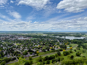 Sky Above Roots Below