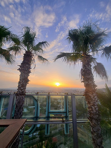 Tropic Stillness Above the Noise