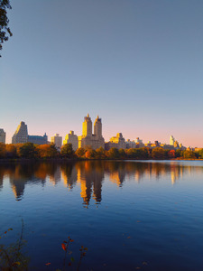 Autumn Skyline Firelight