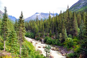 Majestic Mountains of Alaska 3C