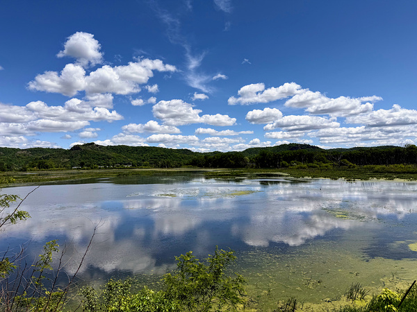 Cloud Watching by the Lake Print