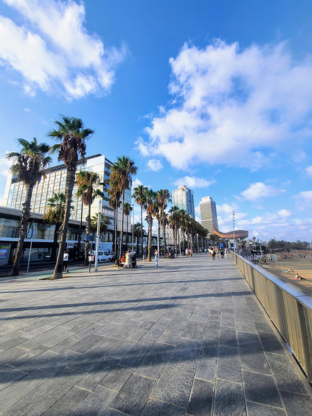 Sun-Kissed Horizons: Barcelona Beach Print