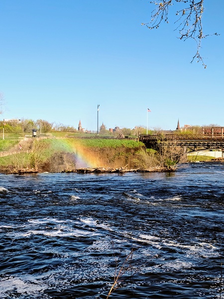 Rainbow Resilience at Paterson’s Edge Print