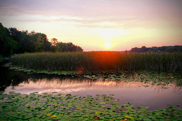 Over Lilyglass Waters: A Dawn Reawakens Print