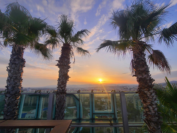 Palm Witnesses of the Falling Sun Print