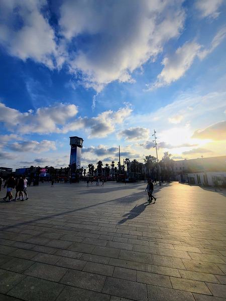 Where Light Finds the Silence Print