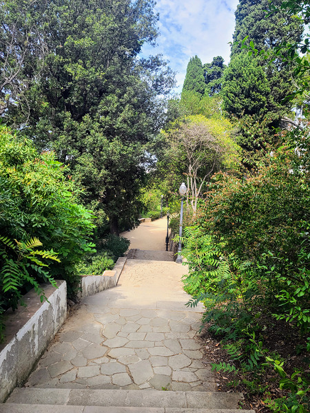 The Pause in the Path Print