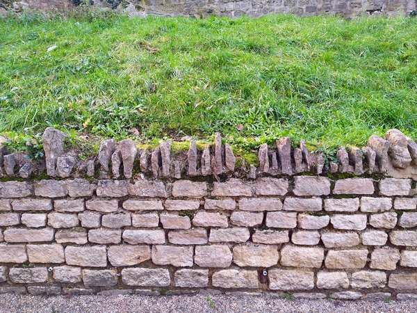 Barbed Stone Wall Print