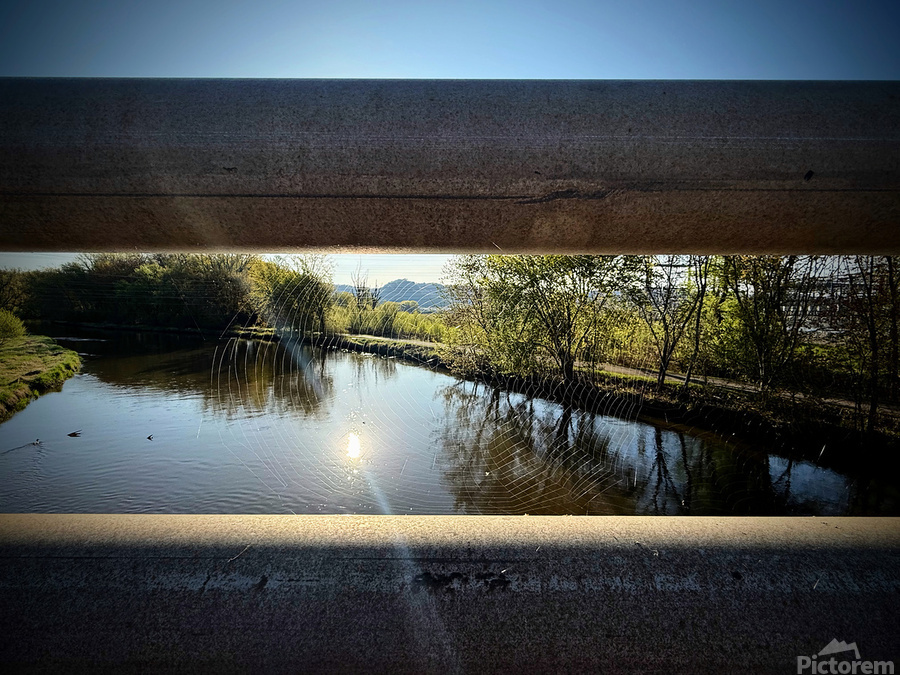 Spider Web on Bridge at Sunrise – Nature Framed in Stillness 2  Print