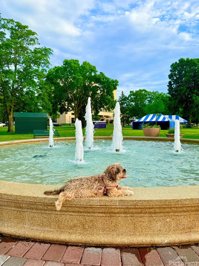 Lazy Days by the Fountain  Print