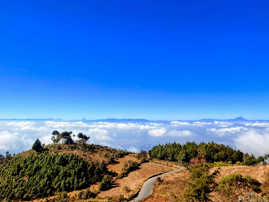 IMG 9134 EDIT  Print