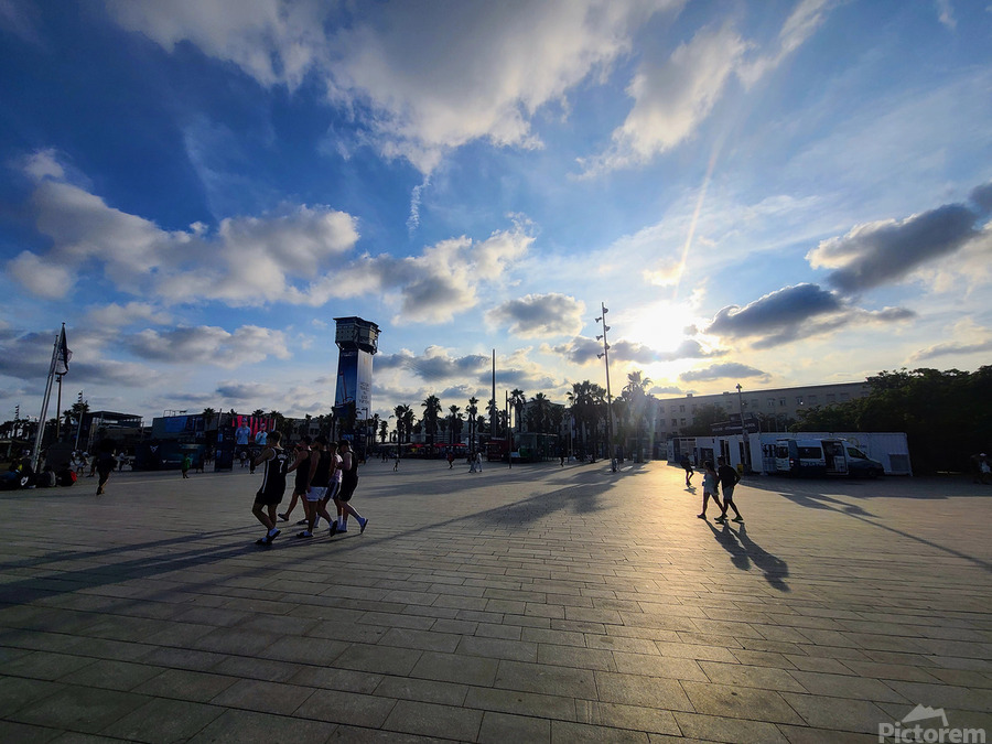 Geometry of Light and Stride  Print