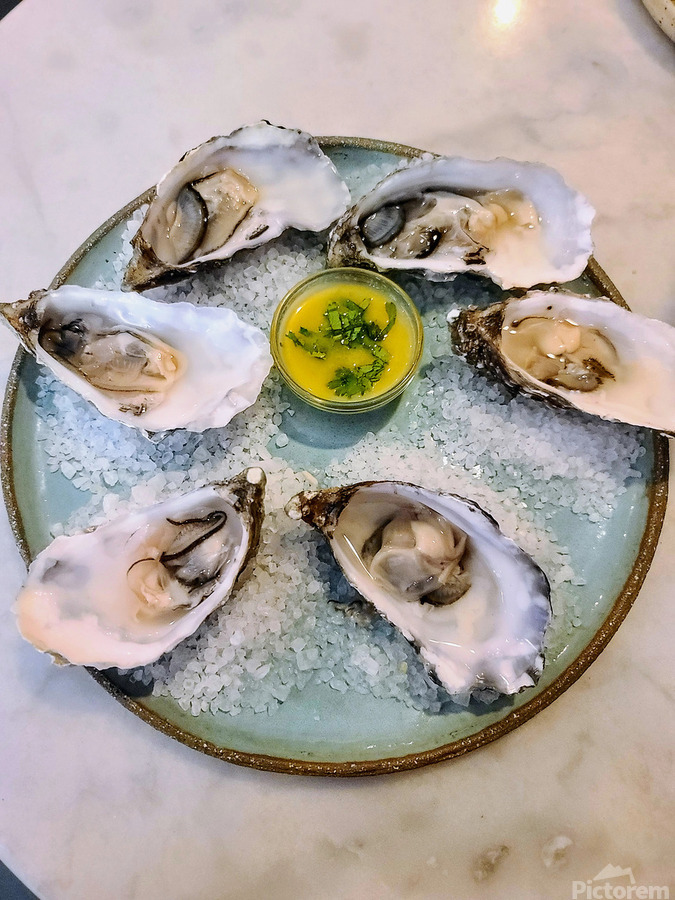 Silent Brine: The Oyster Sonata  Print