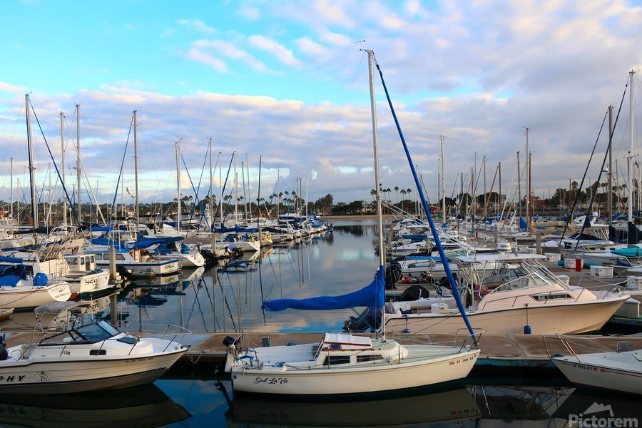 Sea of Boats  Print