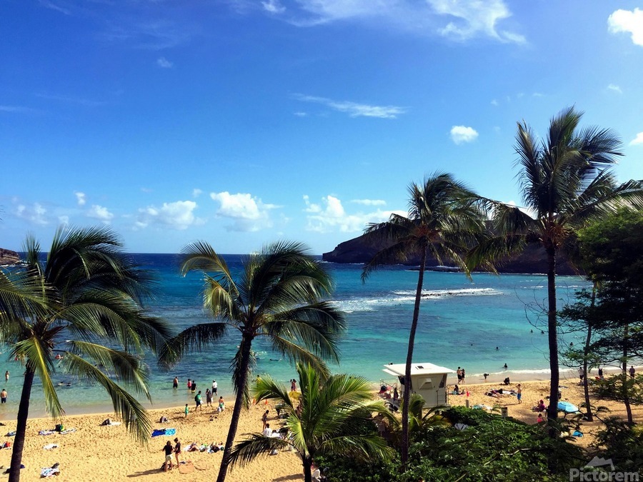 Hello Beaches  Print