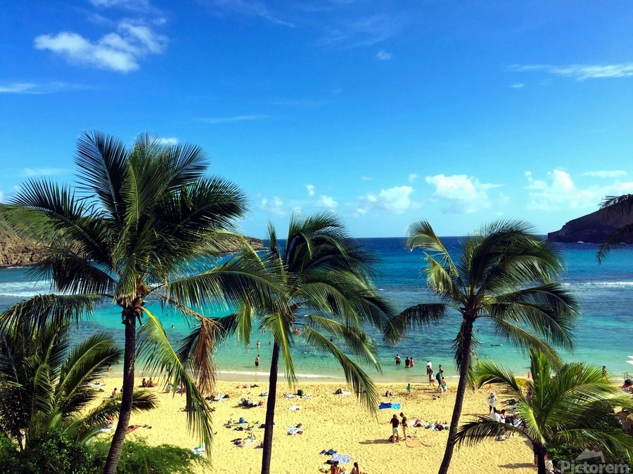 Hello Beaches 2  Print