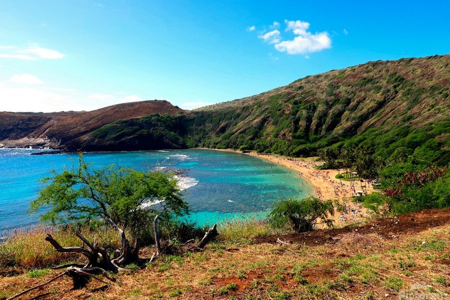 Paradise Found 2  Print