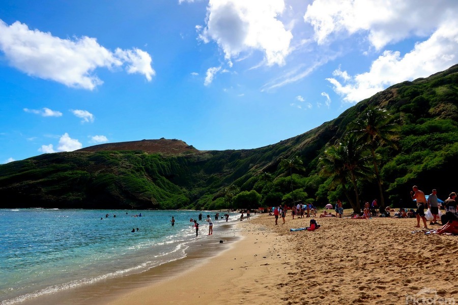 Hello Beaches 2C  Print