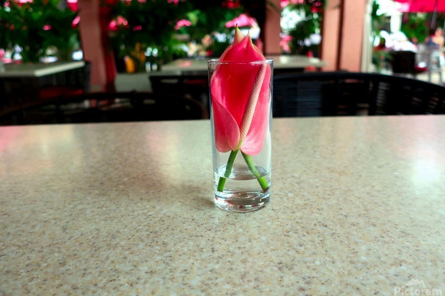 Glass Bloom 3  Print