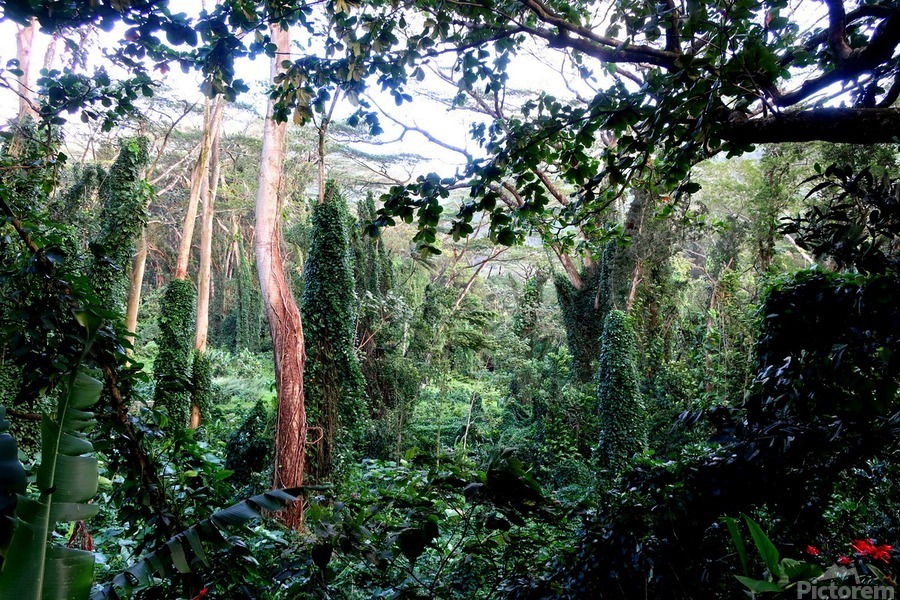 Welcome to Jurassic Park  Print