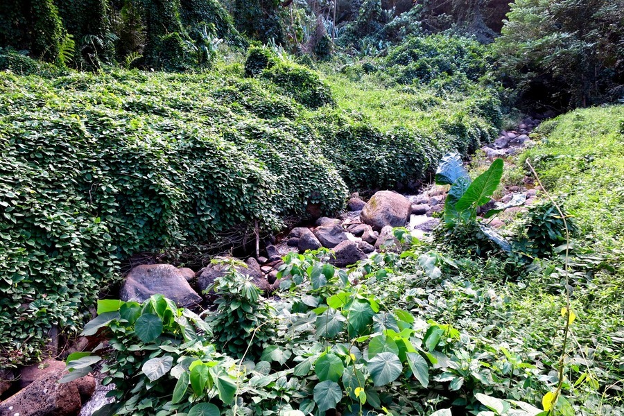 Hiking Hawaii 3  Print