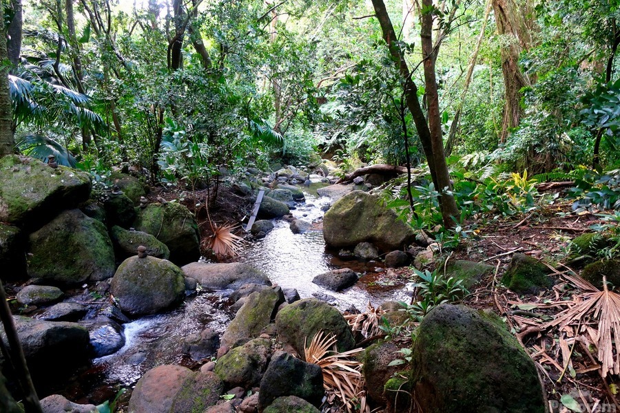 Hiking Hawaii Water Flow B  Print