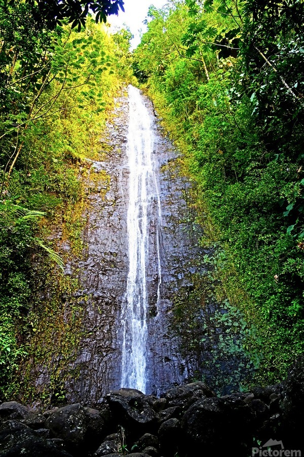 Falling for Colors B  Print