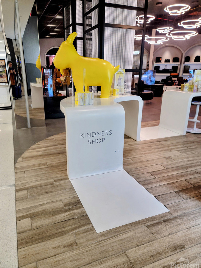 Shop for Kindness  Print