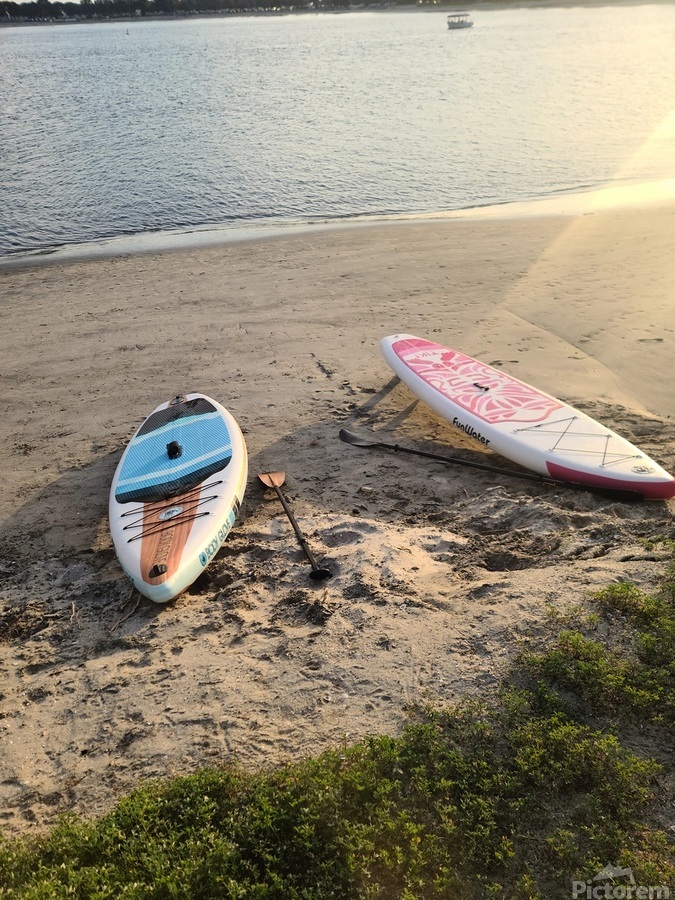 The Last Drift Before Dusk  Print