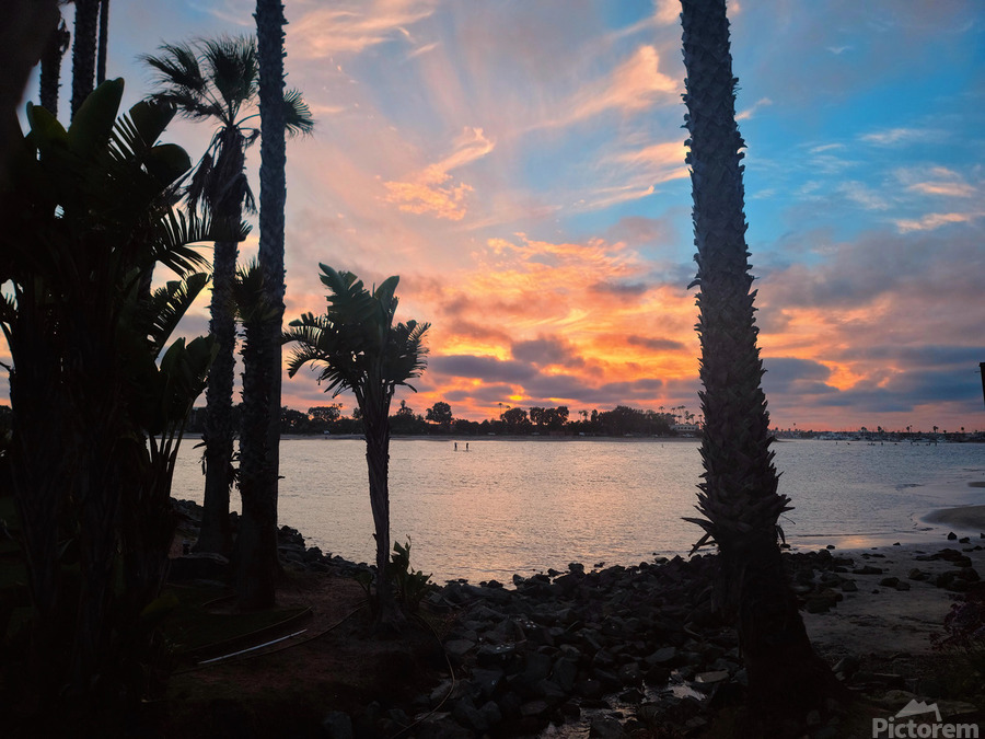 San Diego Sunset: Silent Waters Painted Skies Standing Tall  Print