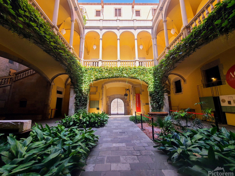  Solitude in Sunlight  Imprimer