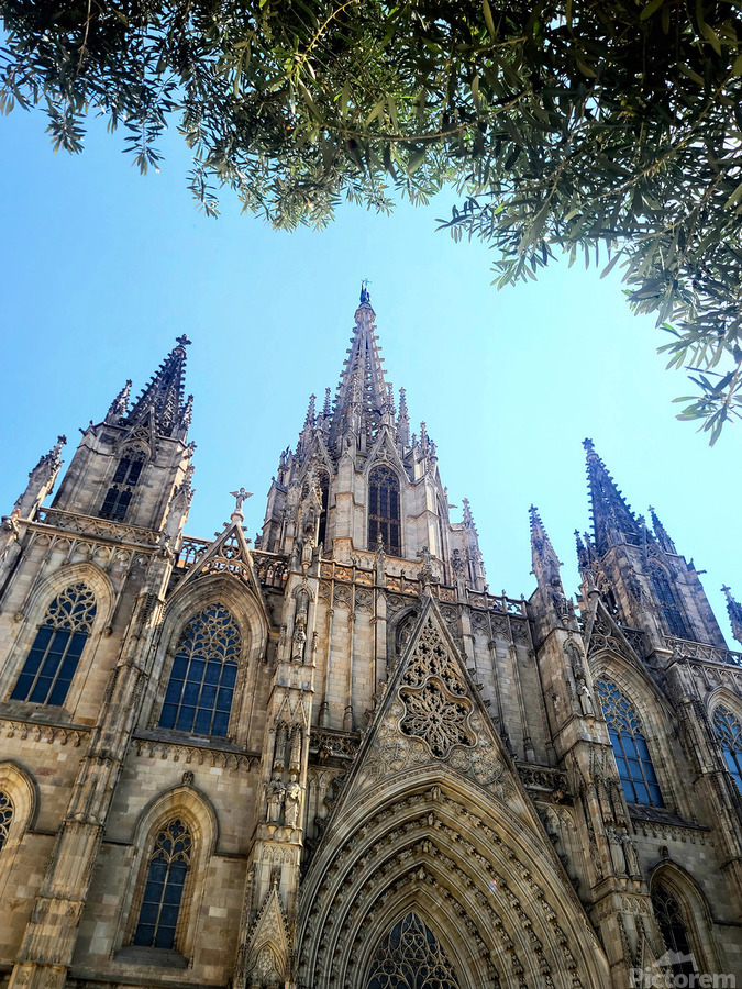 Gothic Roots Olive Crowns: The Cathedral at an Angle of Awe  Print