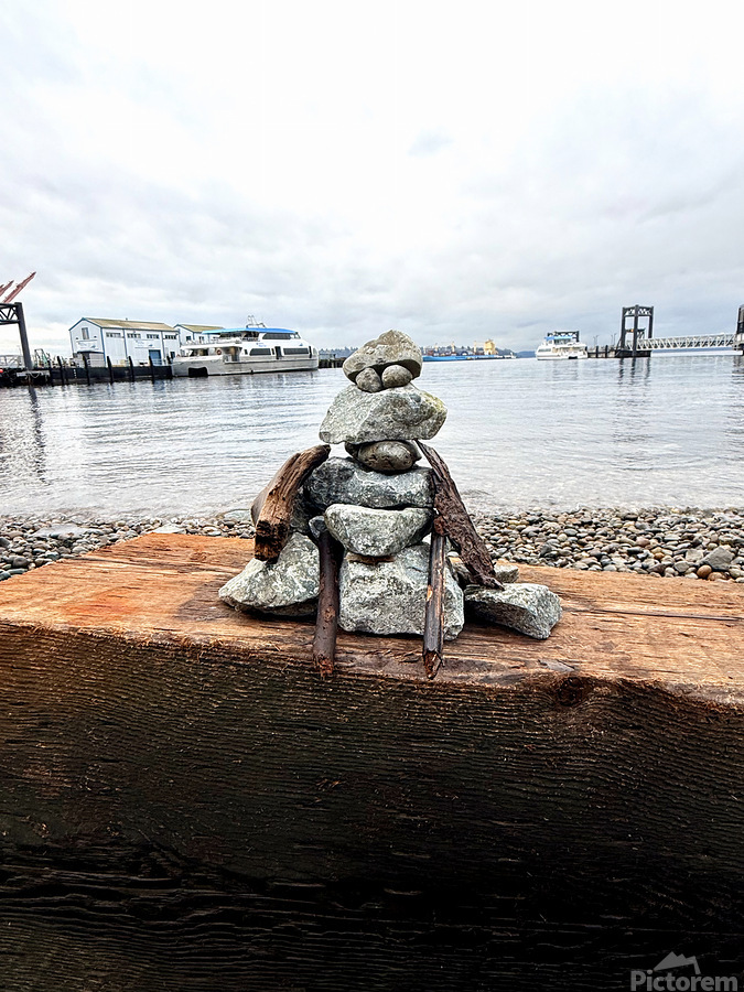  The Watcher of West Seattle   Print