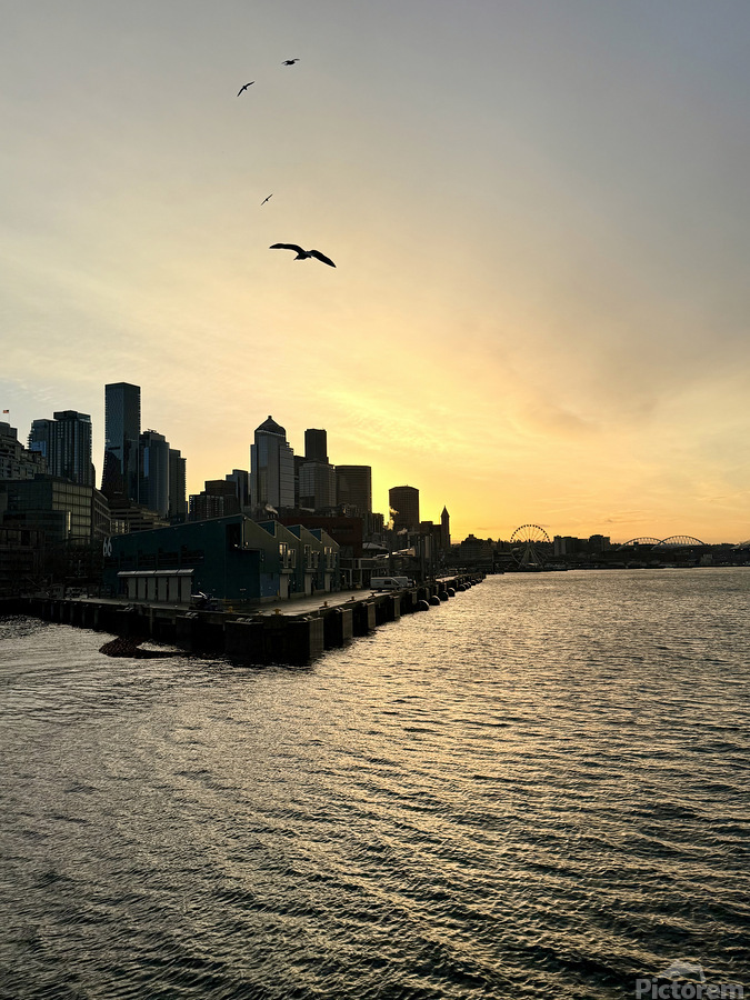 Gold Rush Seattle  Imprimer