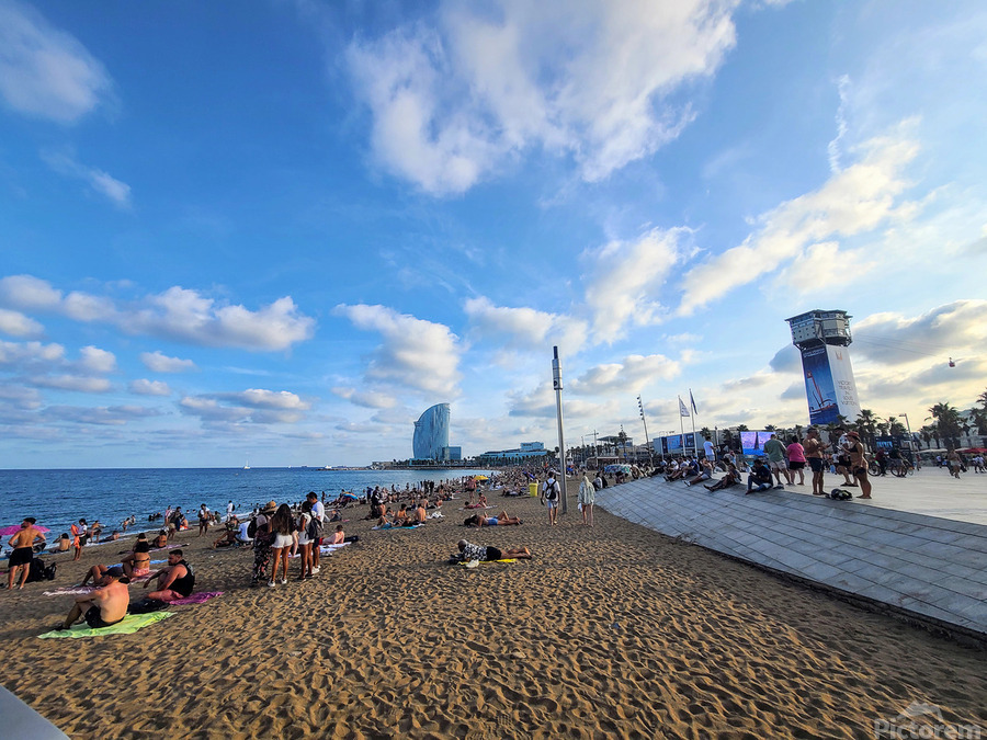 The Soft Chaos of Summer  Imprimer