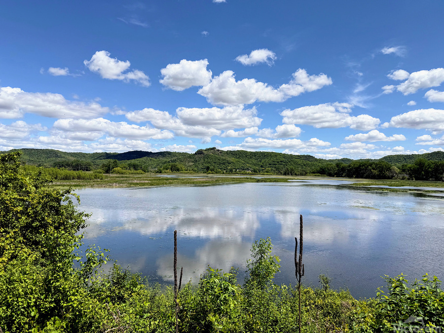 Serenity on the Surface  Print