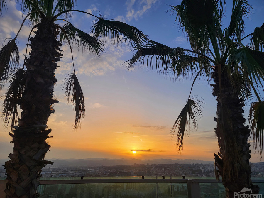 Between Palms and Possibility  Print