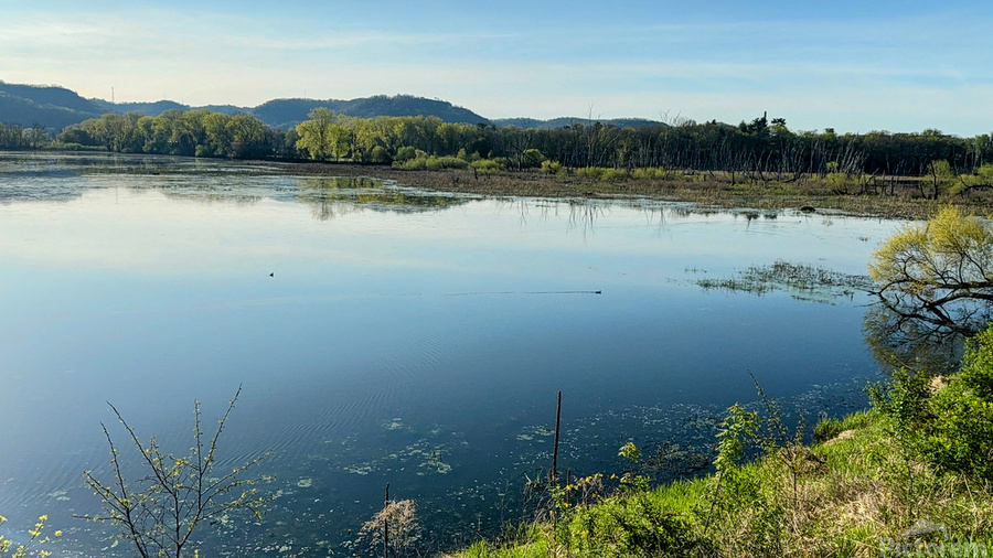 Serene Lakeside View with Forest and Hills  Print