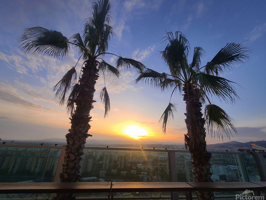 Palms Over the Skyline  Print