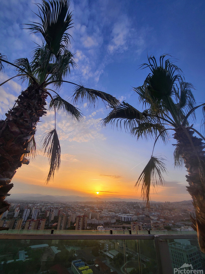 Golden Drift Between Palms  Print